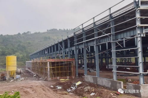 建房子還能像搭積木一樣,拼好就行 不信你來看云陽這個產(chǎn)業(yè)園